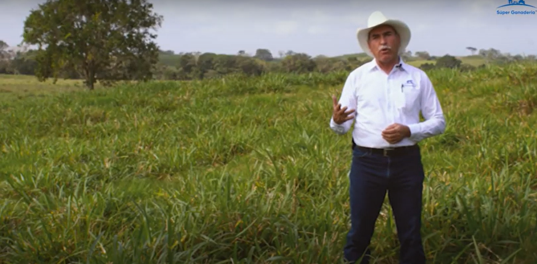 Episodio 3: Selección de la especie | Pregúntale al experto